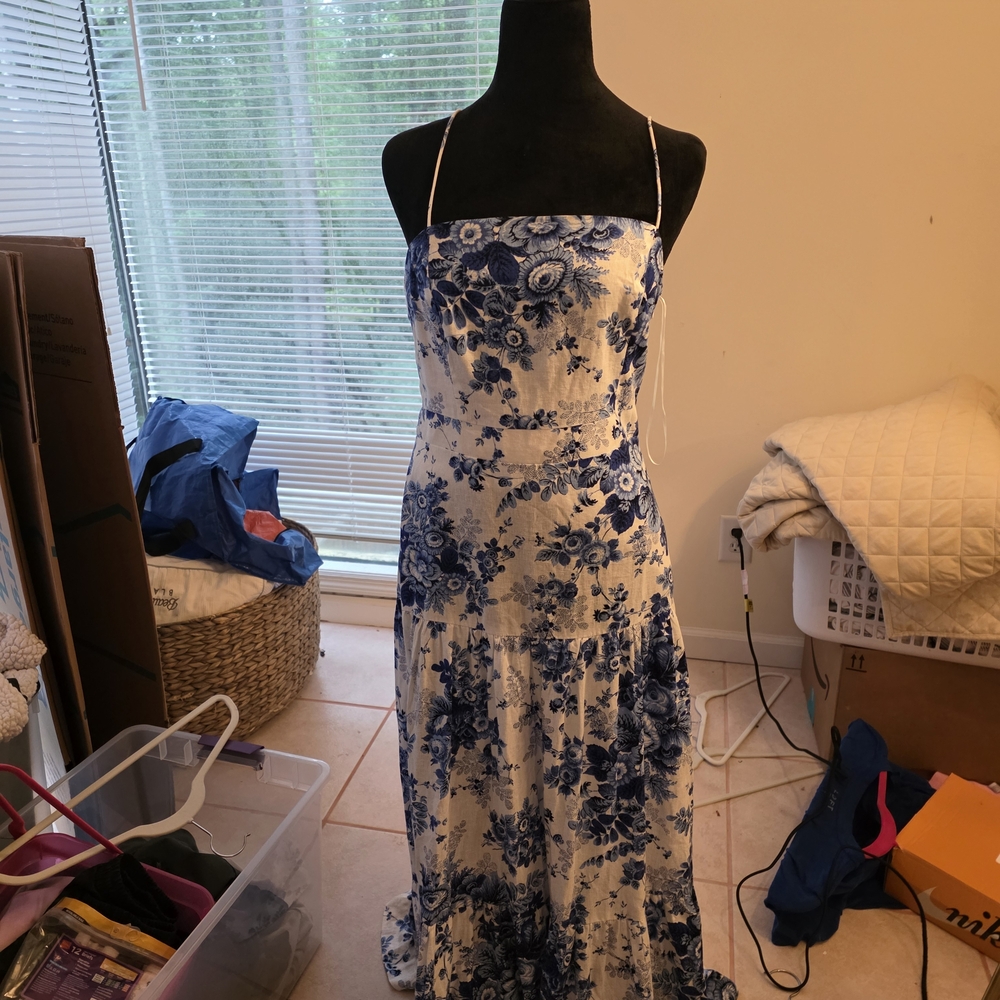 Anthropologie Blue and White Floral Maxi Dress